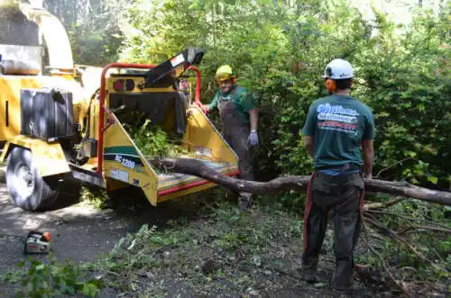 tree services Pilot Station